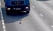 Видео чудесное спасение котенка в Калининграде выпавшего на оживленной трассе 